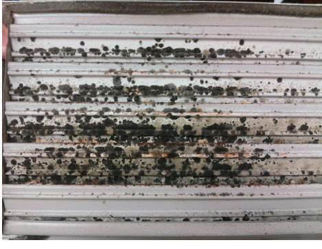 Image of mould on an air confitioning system